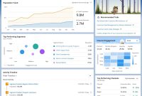 Analytics types pipeliner crm driving force